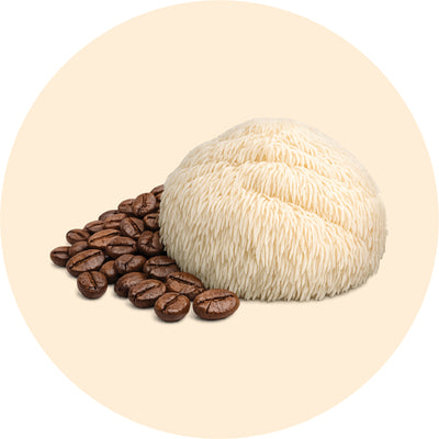Mushroom & Coffee Protein Bar