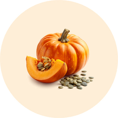 Premium Pumpkin Seeds