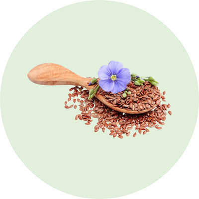 flax seeds